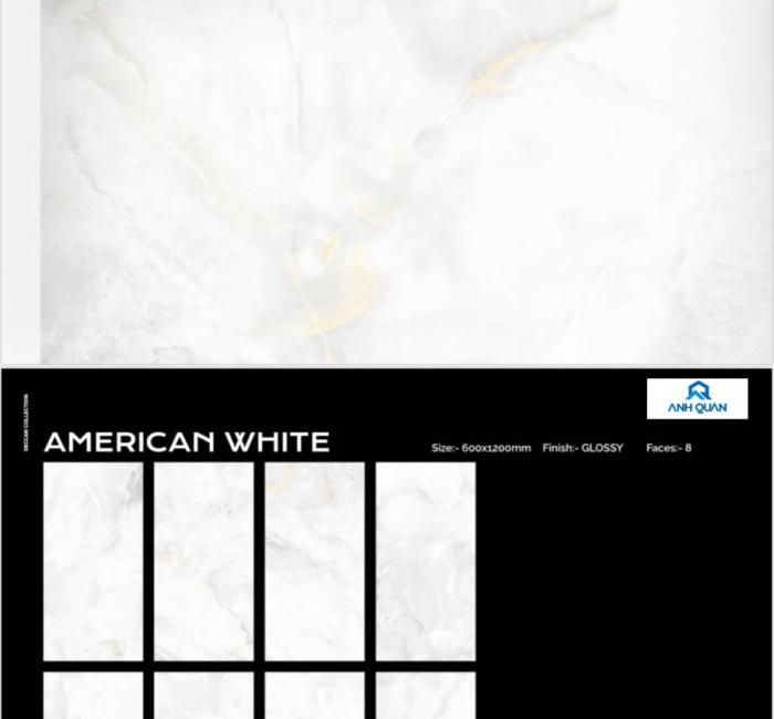 Gạch men America White 600x1200