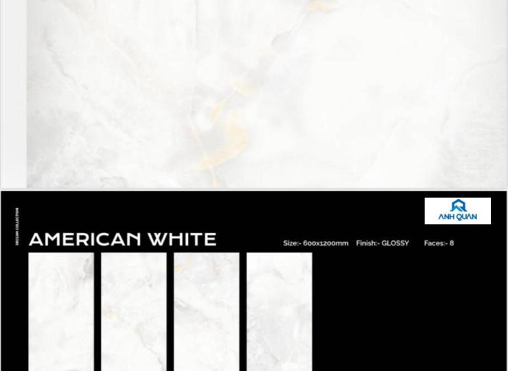 Gạch men America White 600x1200